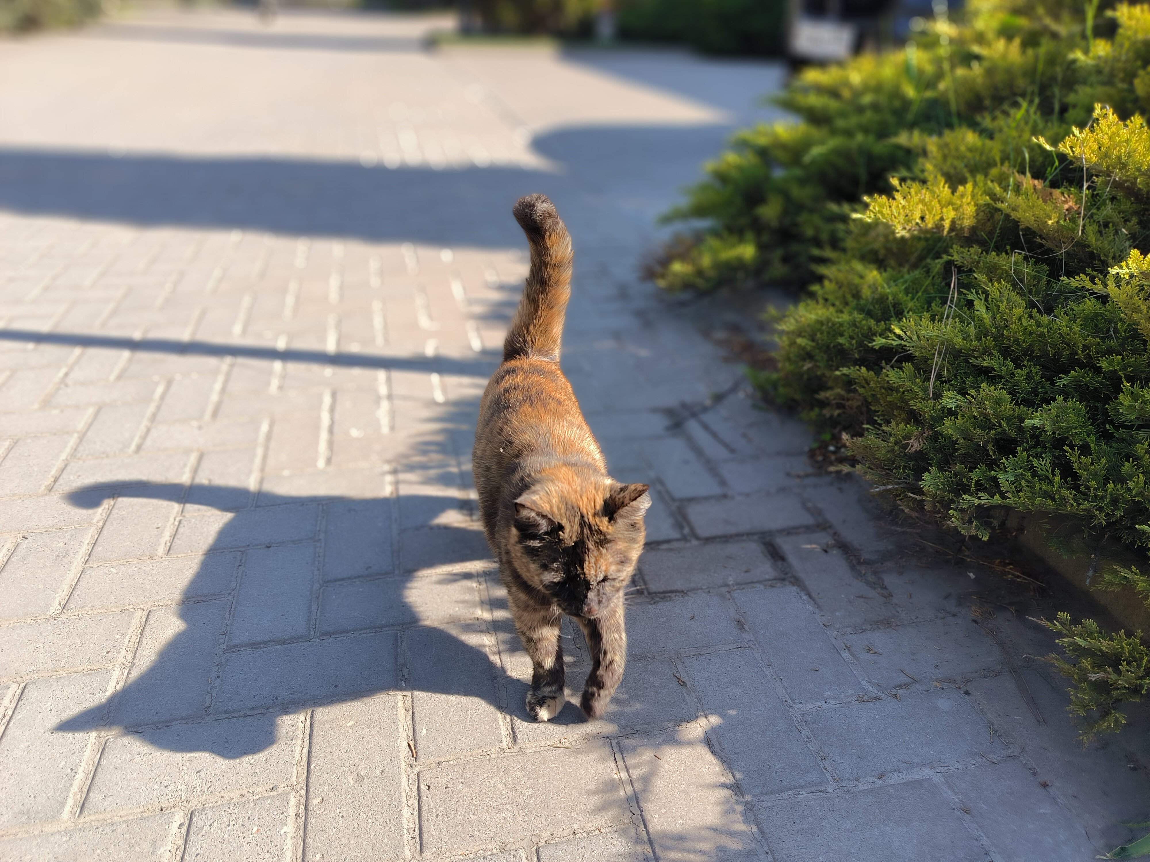 Фото Меридиан-Юг