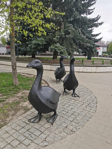 Жас әйелдер жыныстық қатынасқа түскен жеке видео