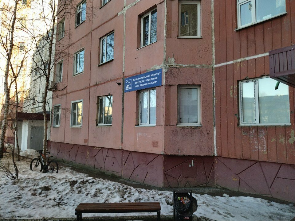 Partido político Obshchestvennaya priyemnaya partii Yedinaya Rossiya, , foto