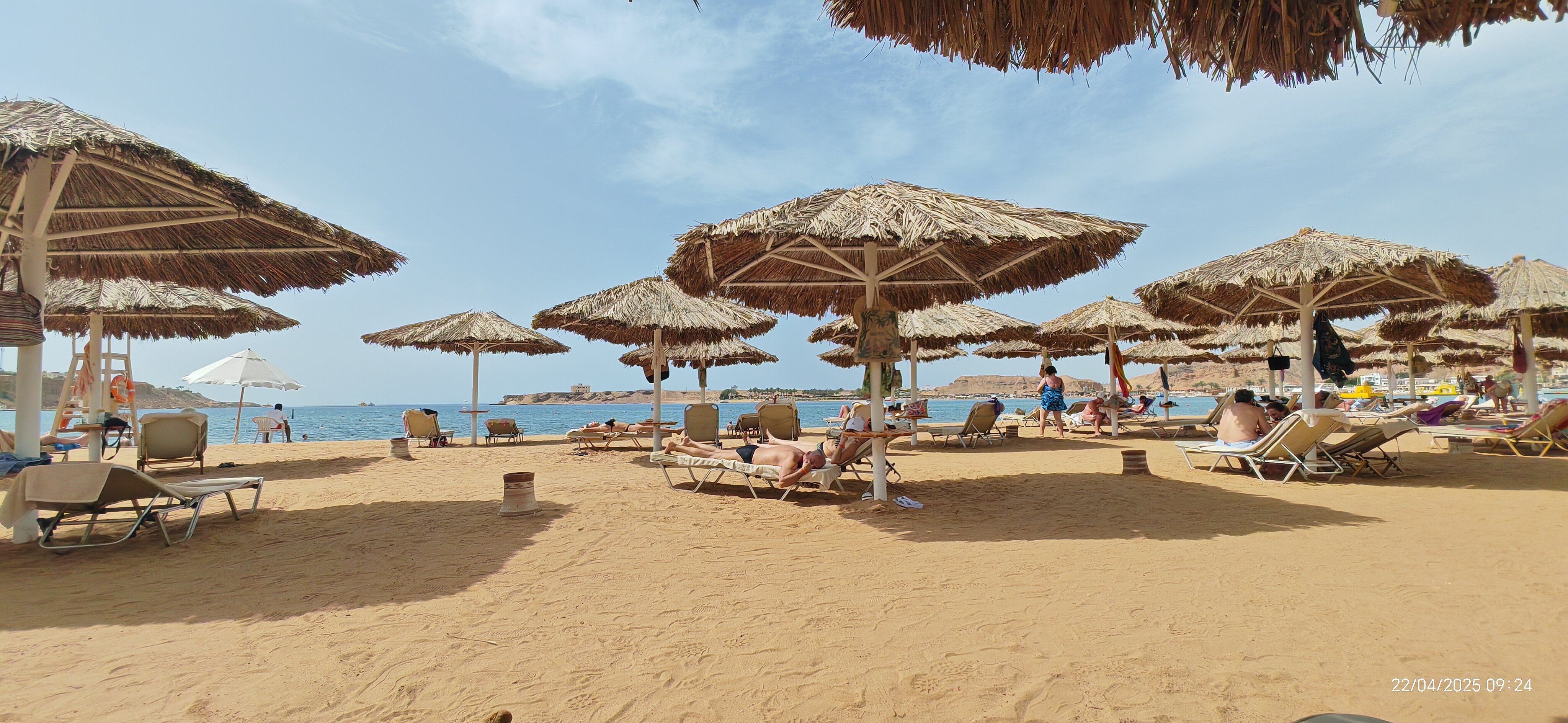 Фото Iberotel Palace