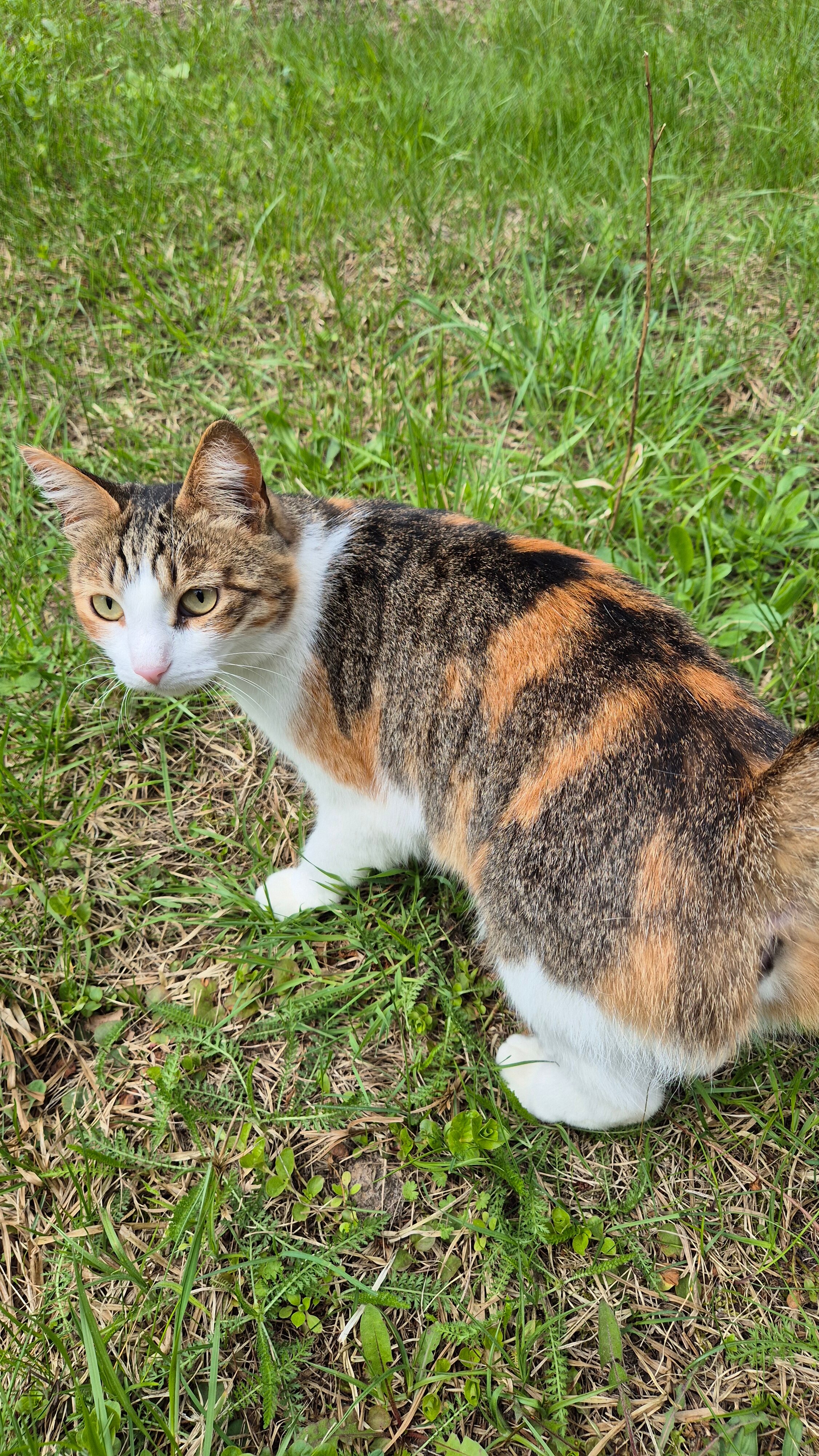 Фото Залесье