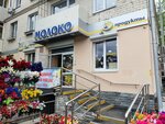 Moloko (Vorovskogo Street, 40), tienda de productos