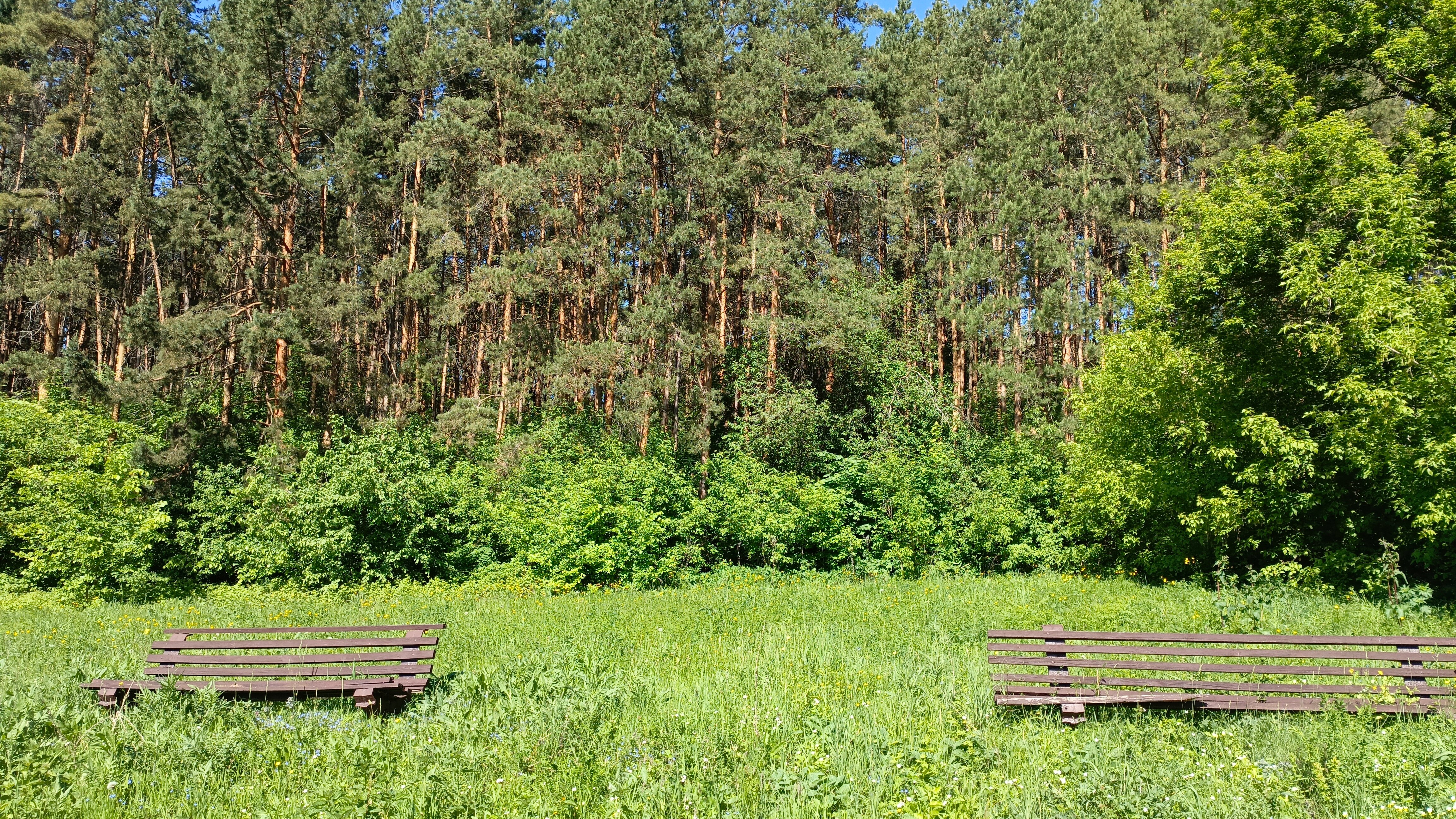 Фото База отдыха Шиханы