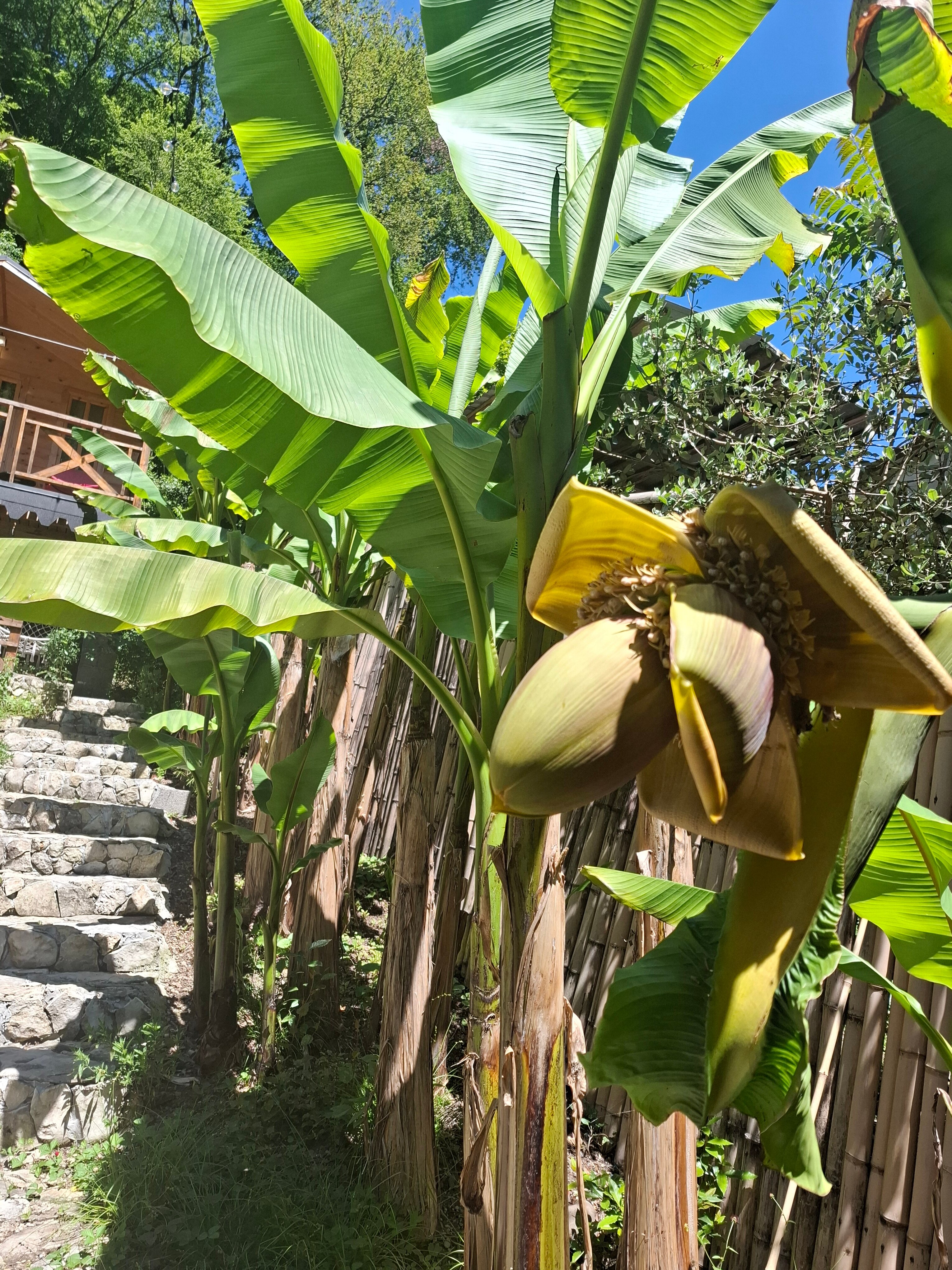 Фото Lodge Korkmaz