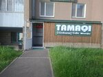 Tamaqi (Maqsut Nárikbaev kóshesi, 10) ، مقهى