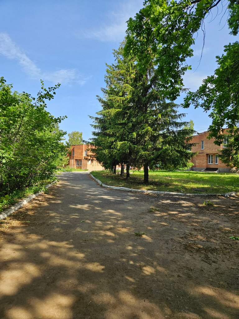 Детский лагерь отдыха Электроник Дол, Самарская область, фото