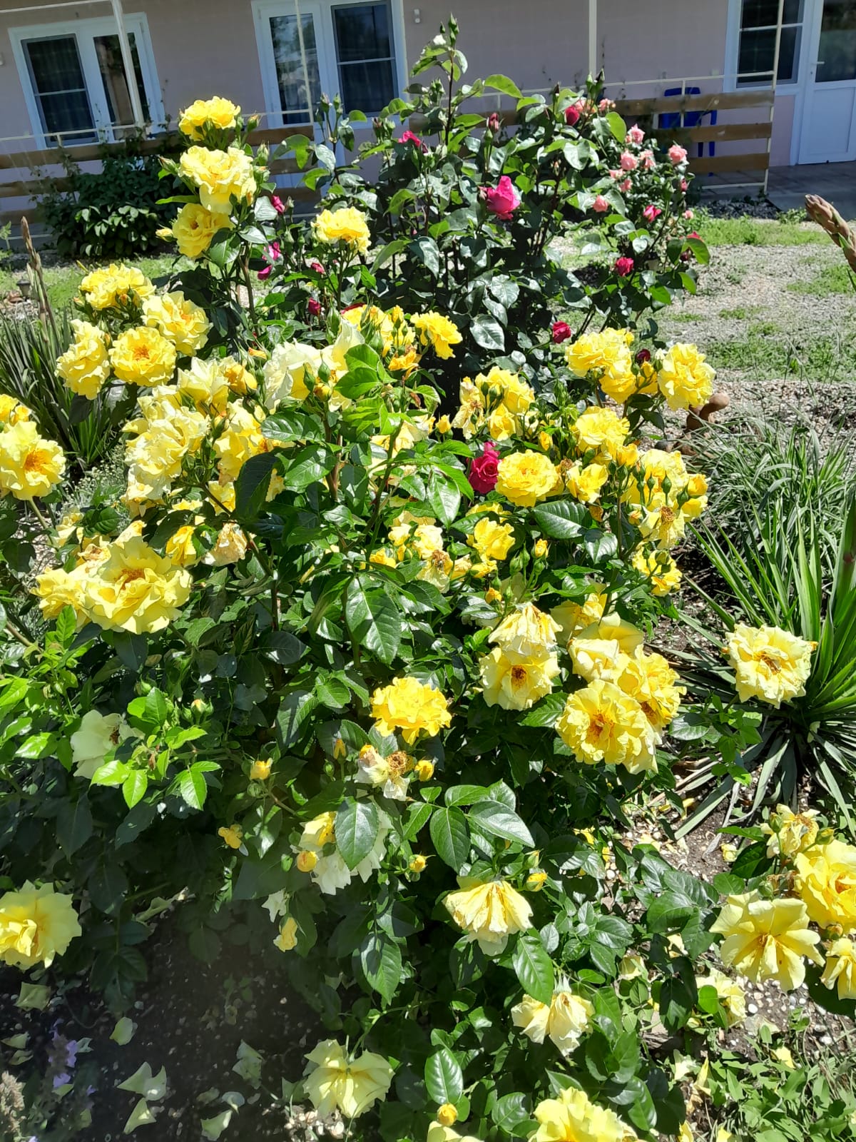 Фото Уфимочка