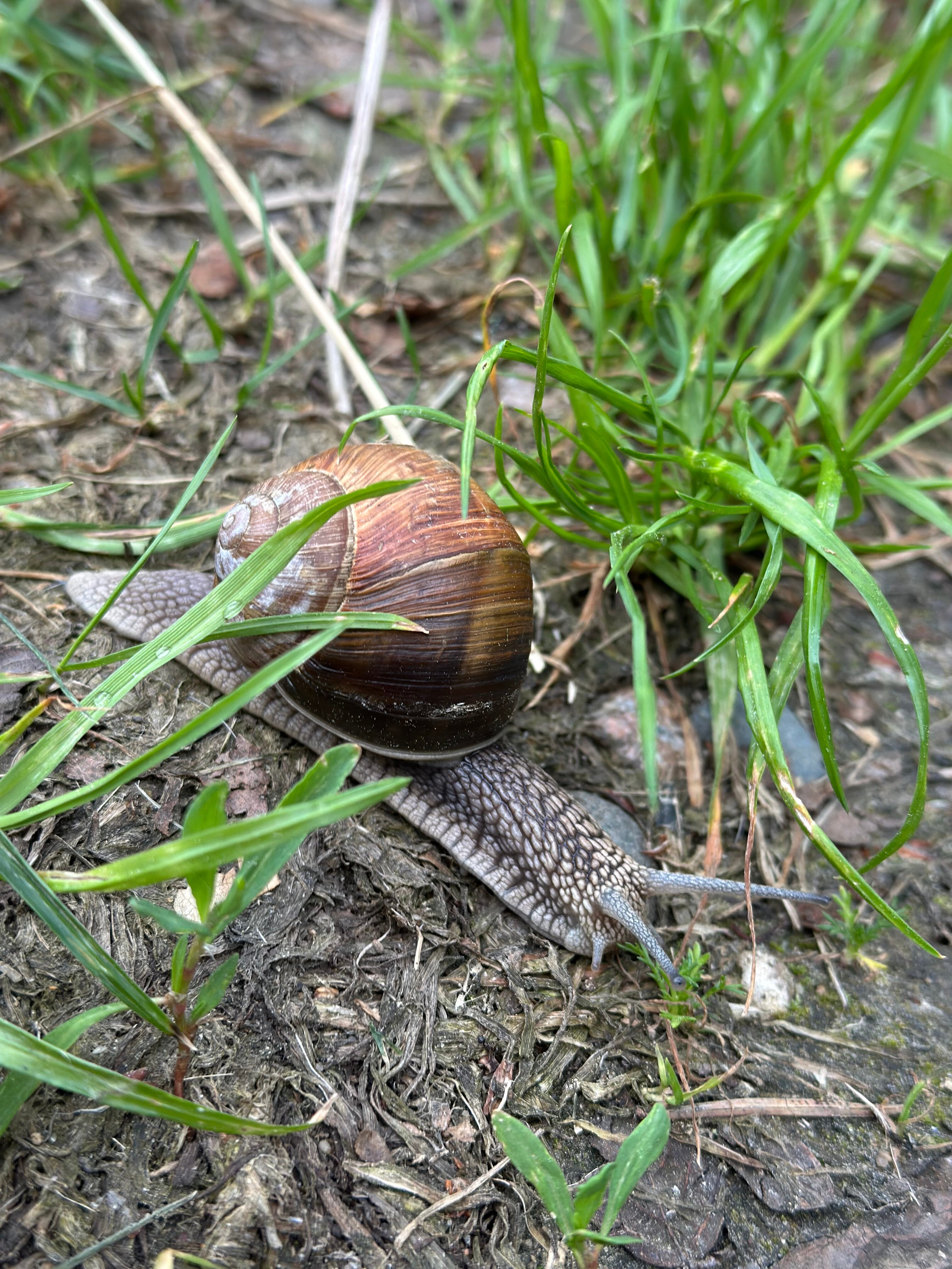 Фото А в лесу