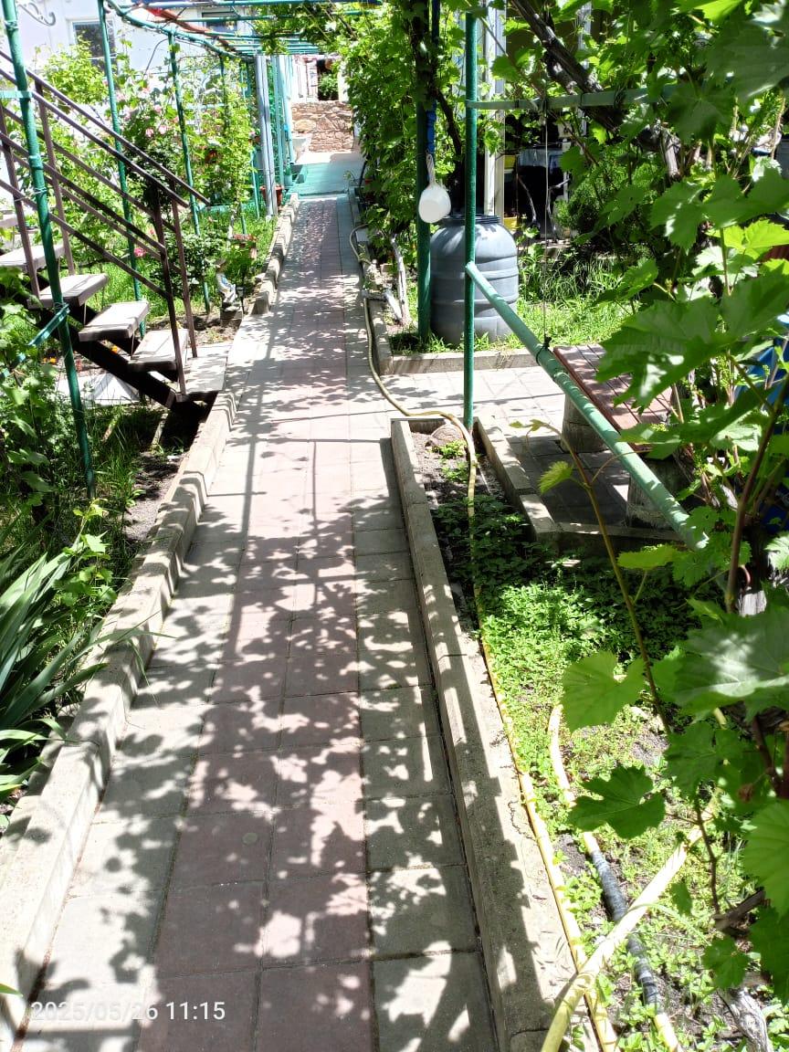 Фото Виноградная аллея