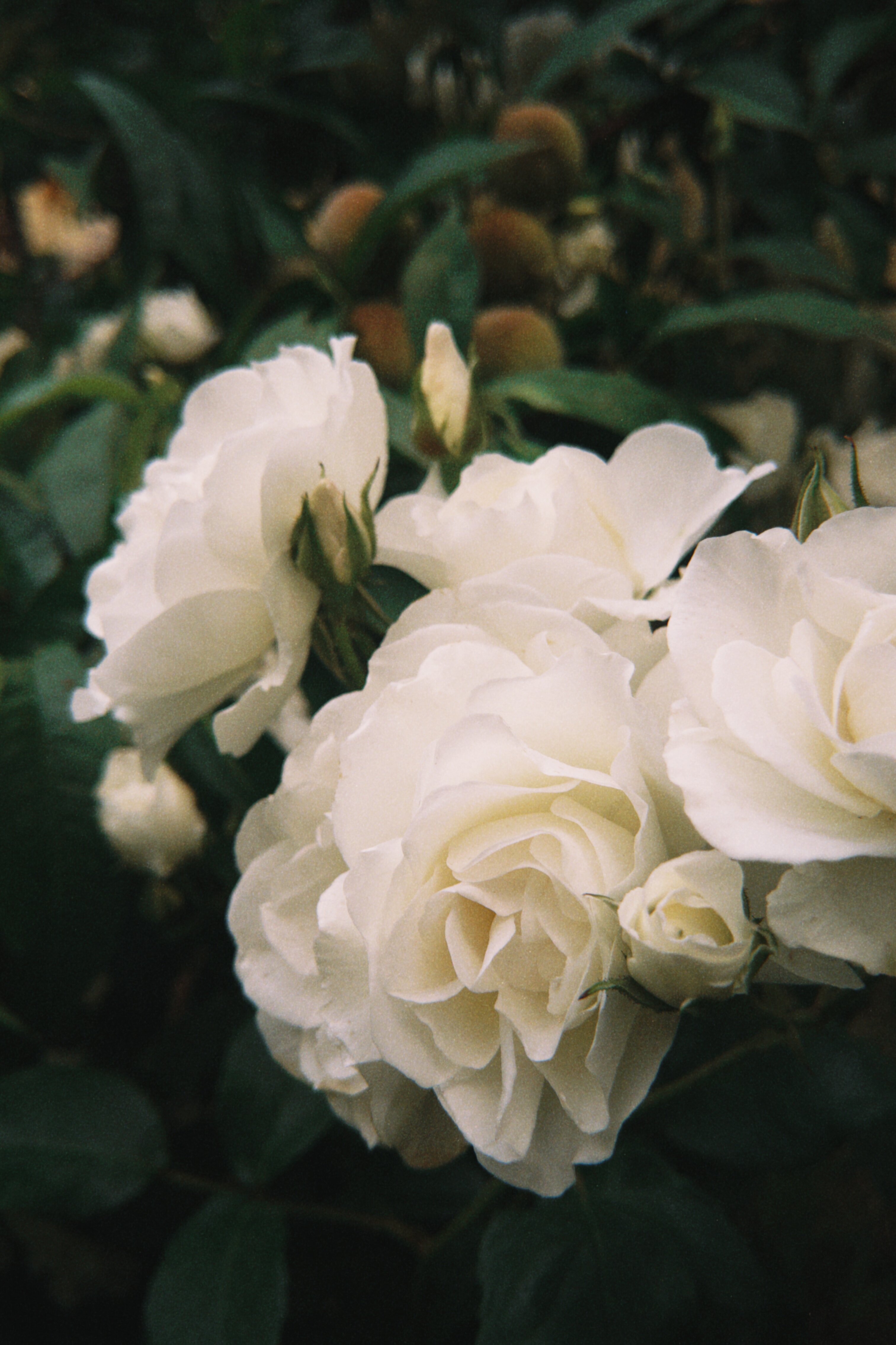 Фото Акватория