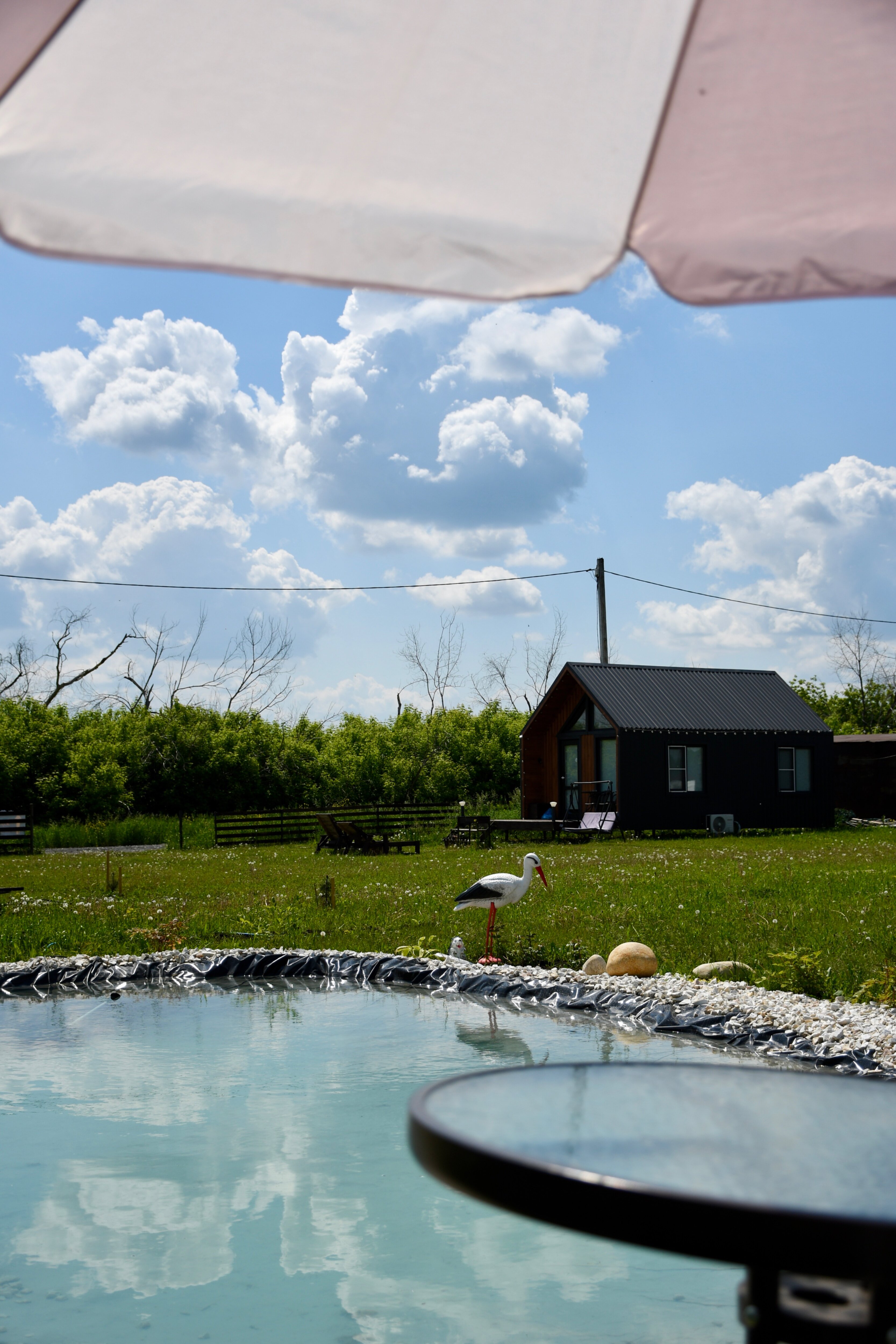 Фото Жар-Птица