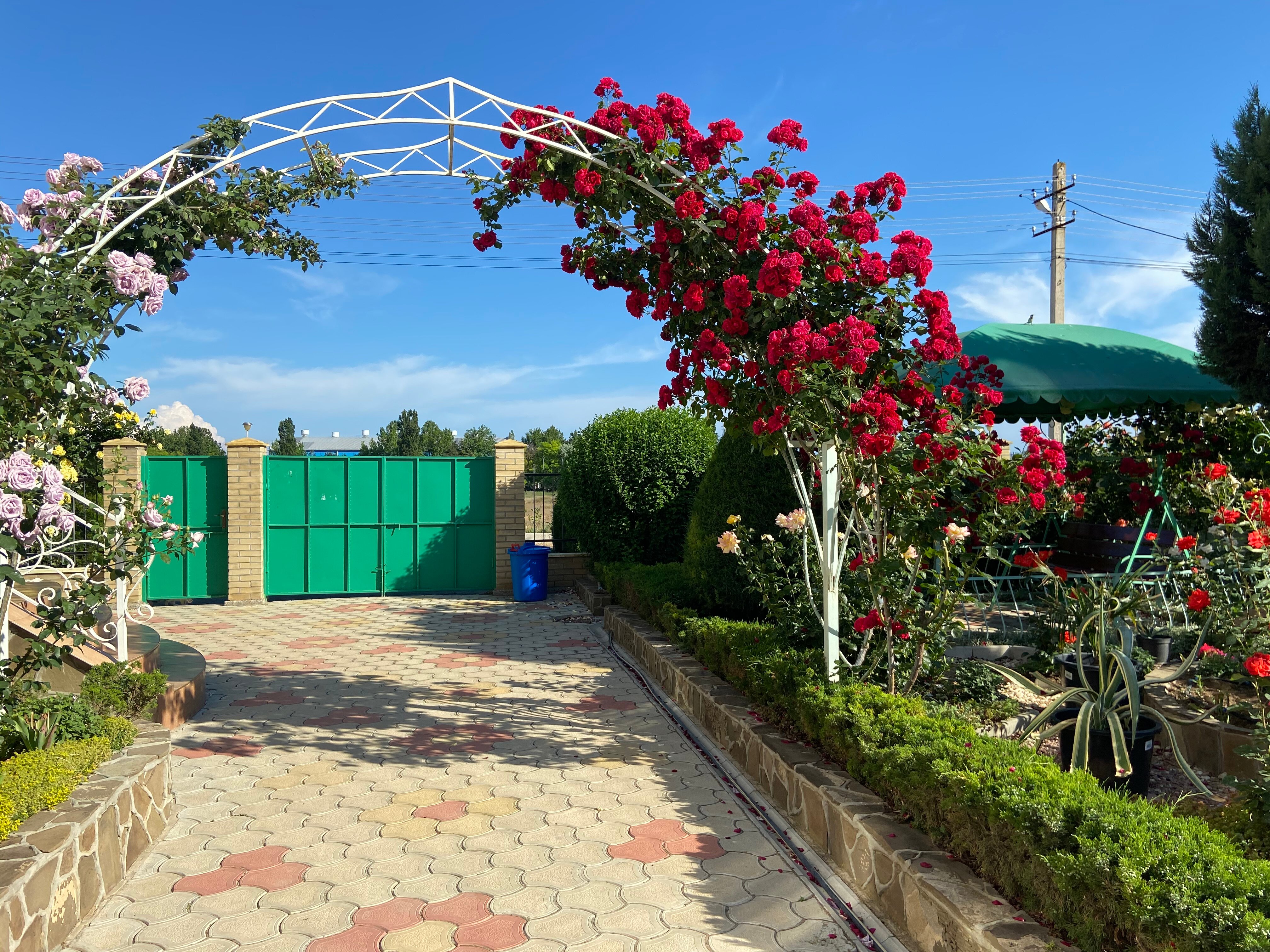 Фото Гостевой дом Агава