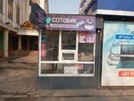 Sotovik (Tole Bi Street, 191), items for mobile phones