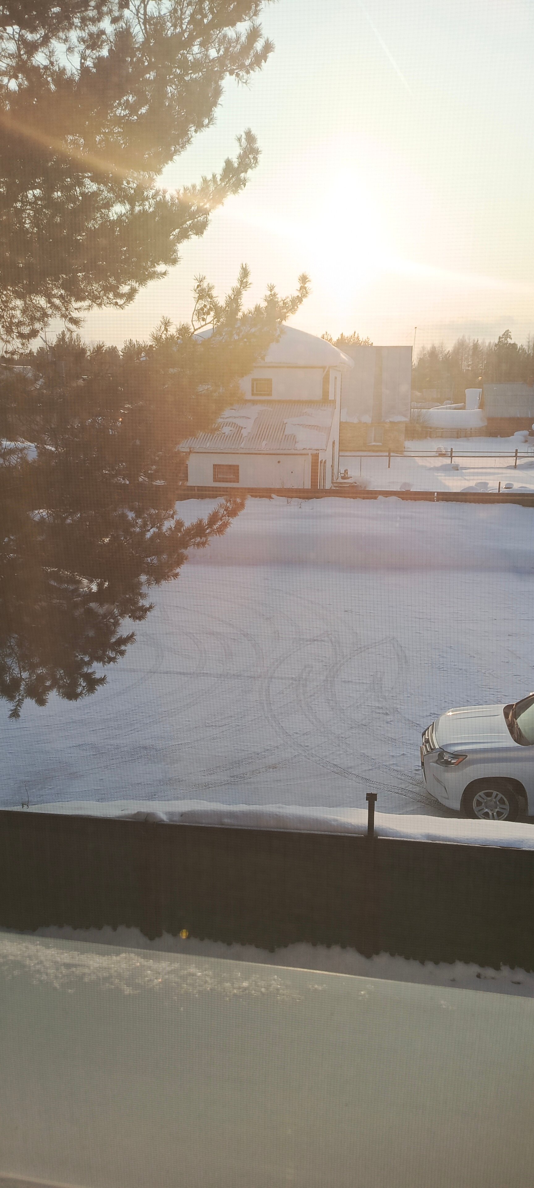 Фото Сибирская