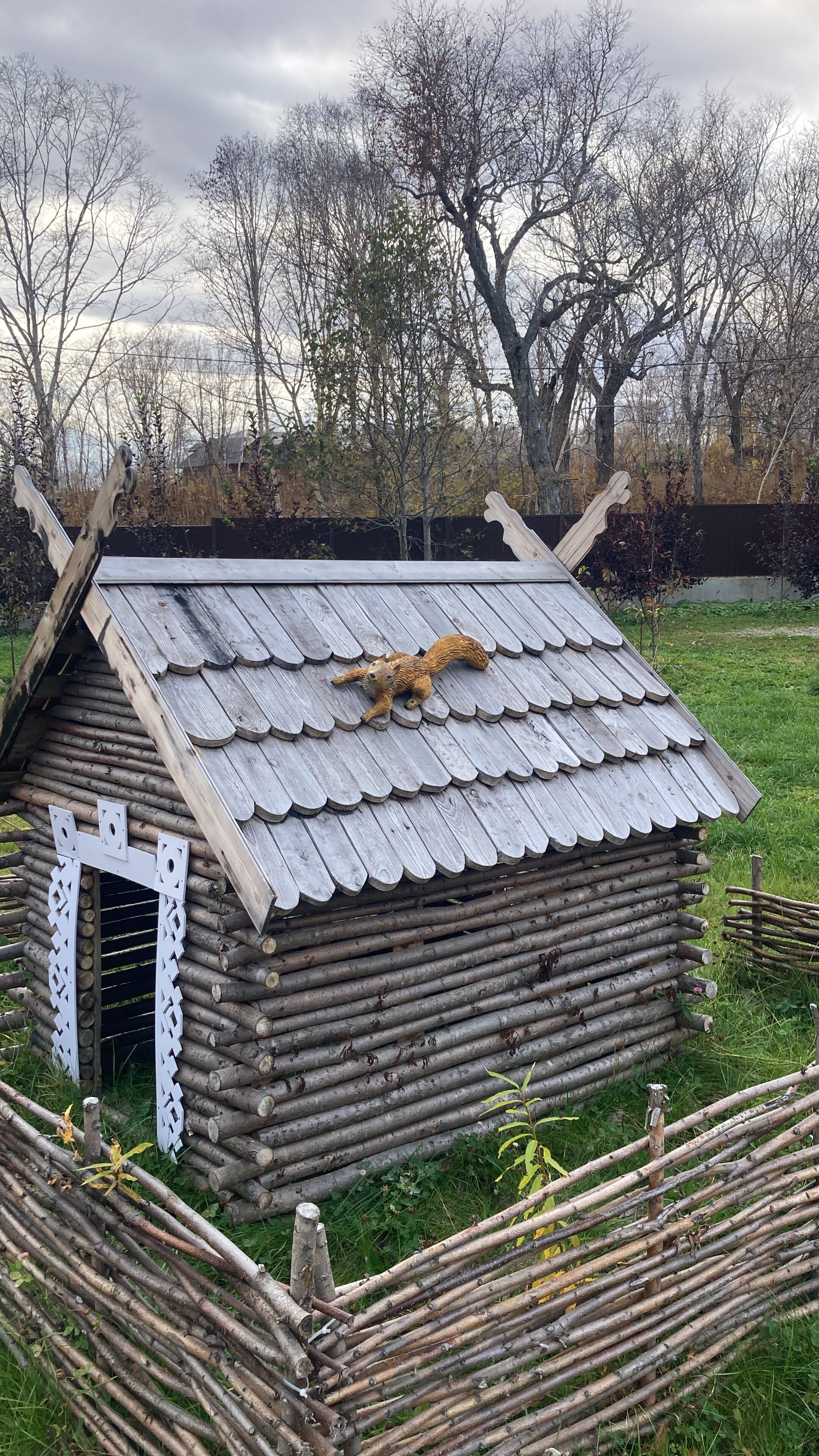 Фото Лесная поляна