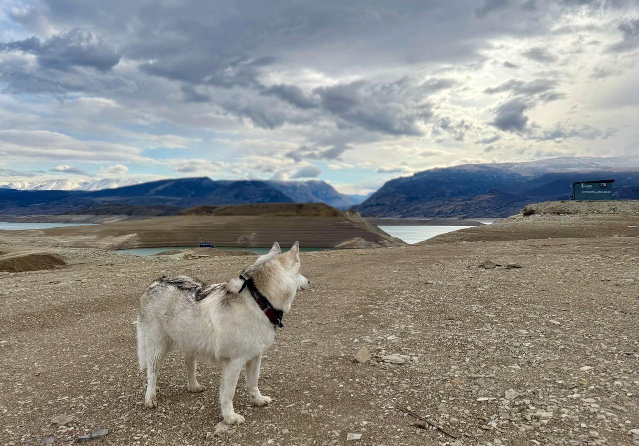 Фото Дубки Сулакский Каньон