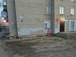 Krasnoe&Beloe (ulitsa Parizhskoy Kommuny, 24) ، محل بقالة