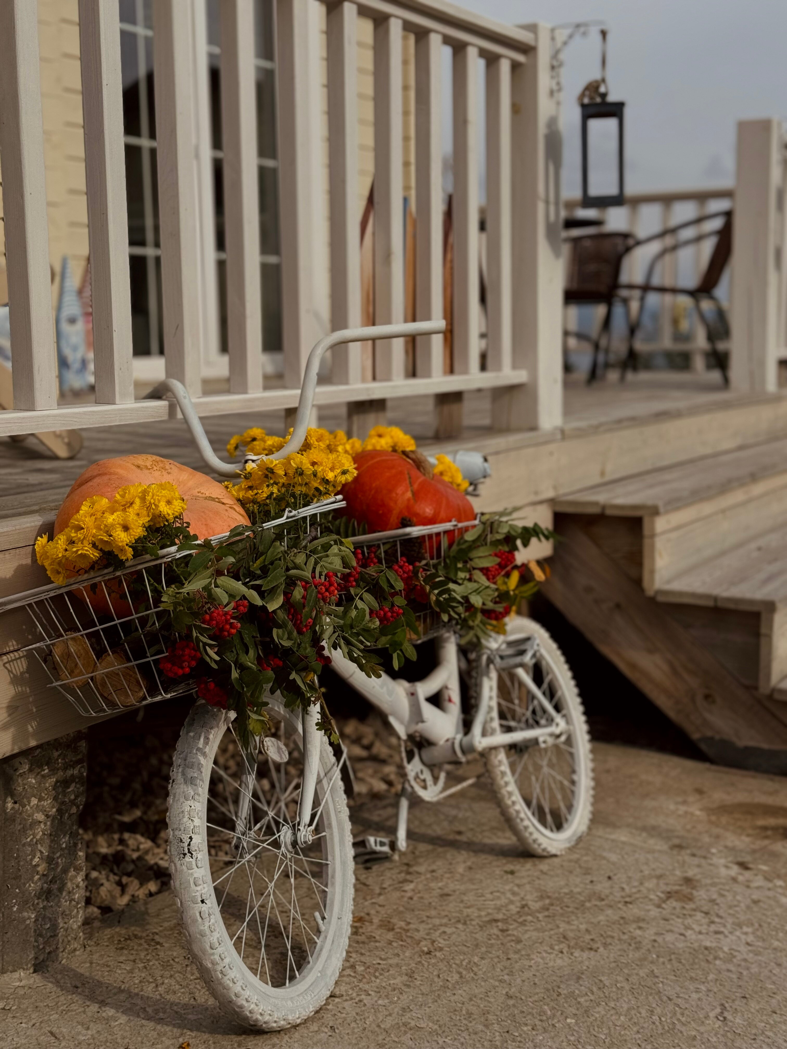 Фото Домик в горах