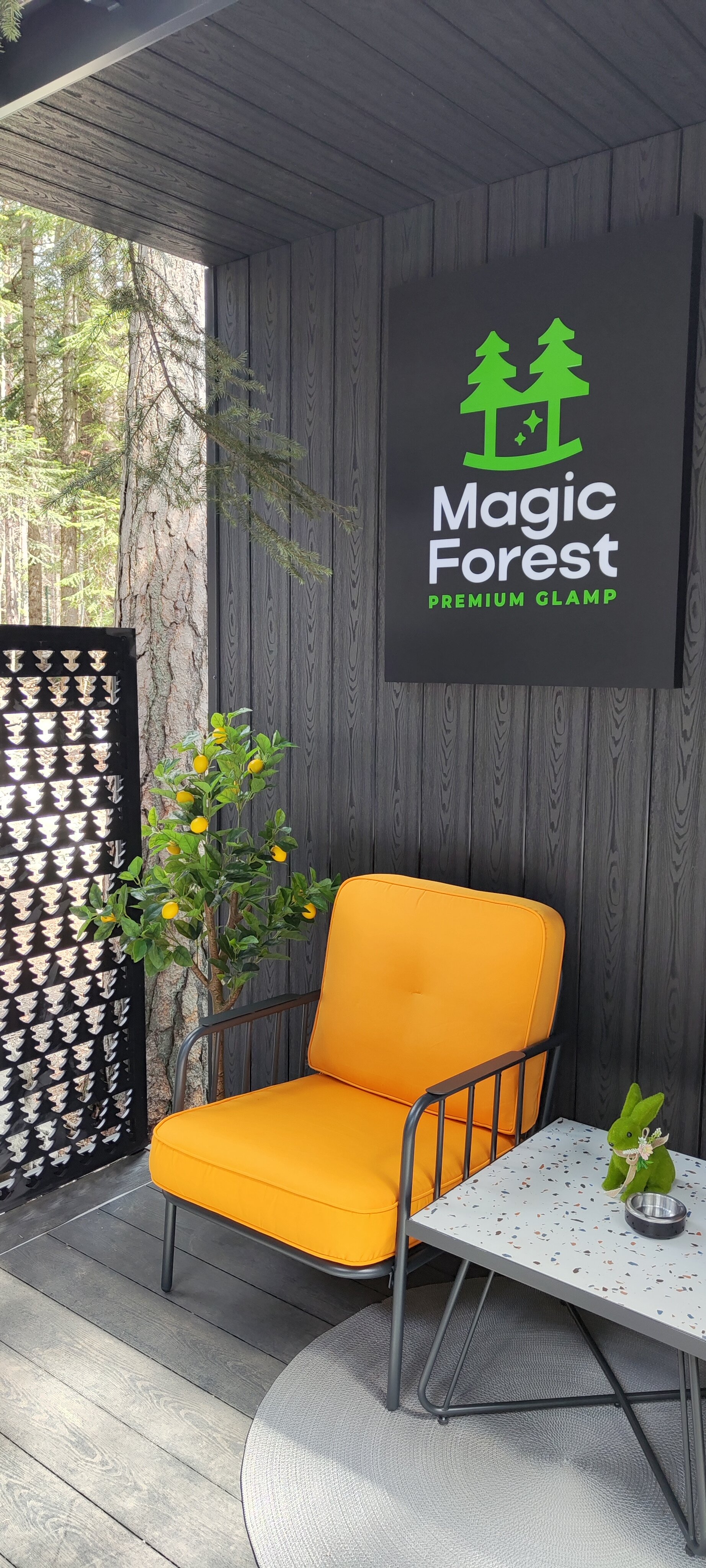 Фото Magic Forest