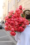 Botanika Lab (Grivtsova Lane, 11) ، محل زهور