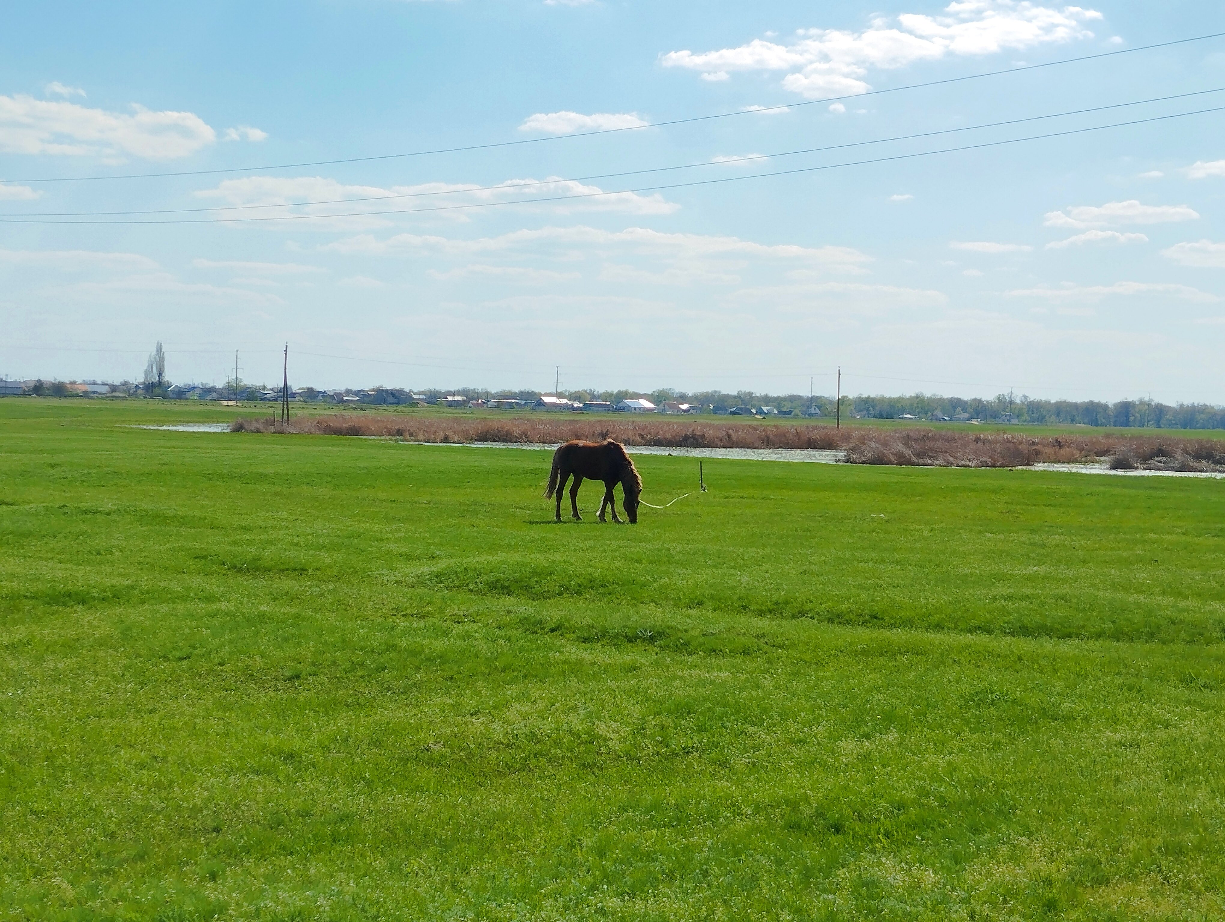 Фото Сказка