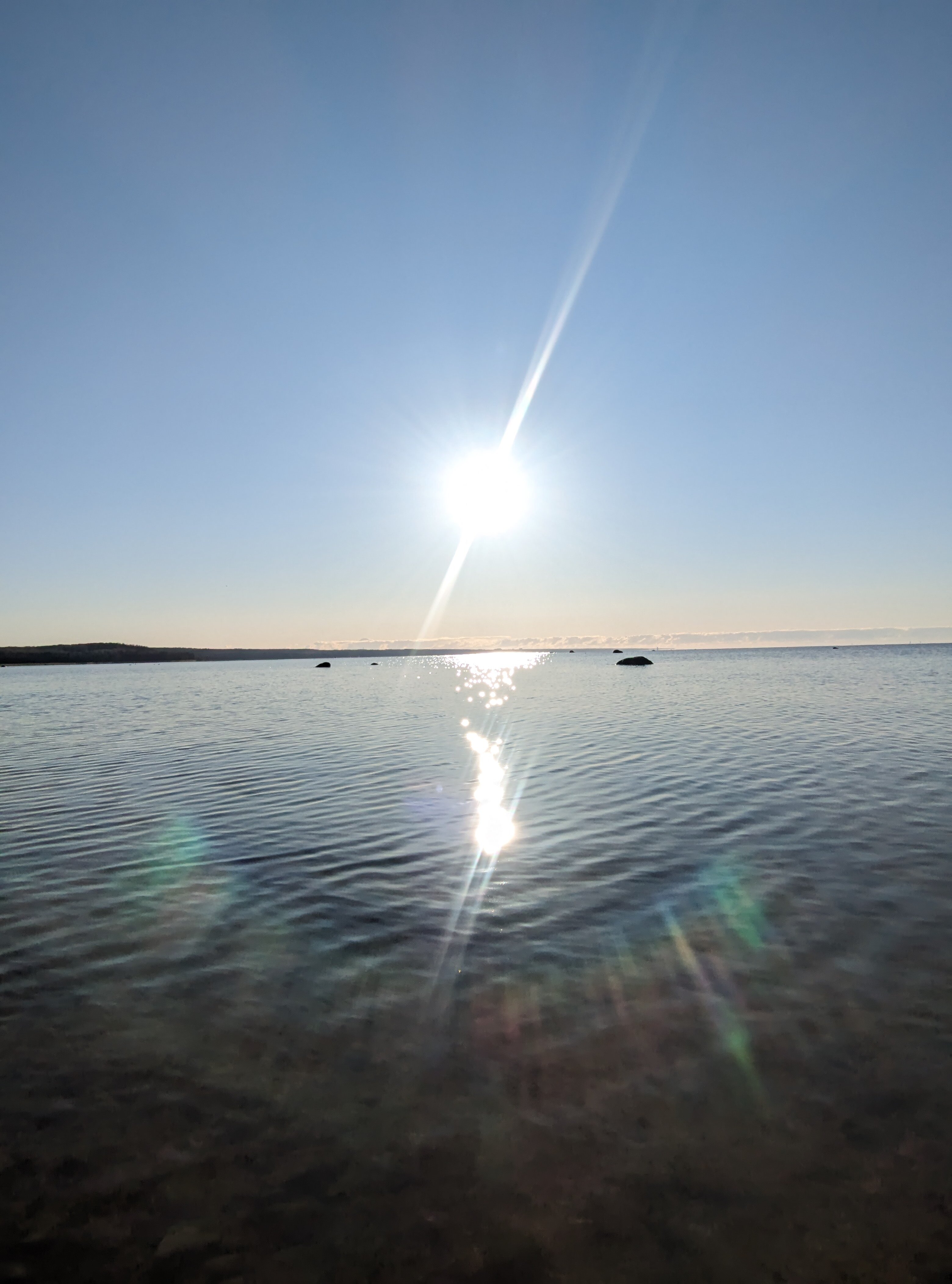 Фото Искатель