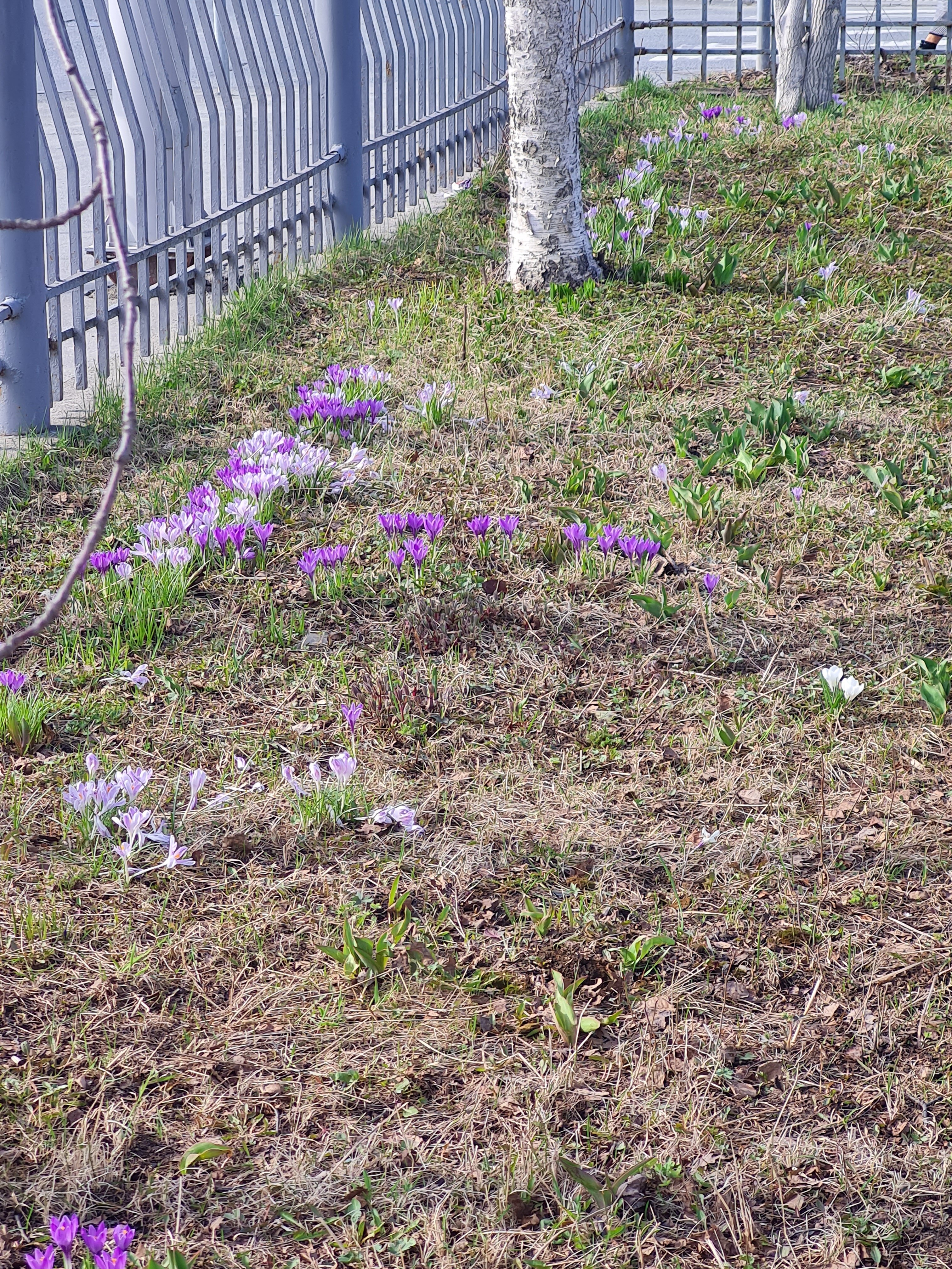 Фото Хостел123