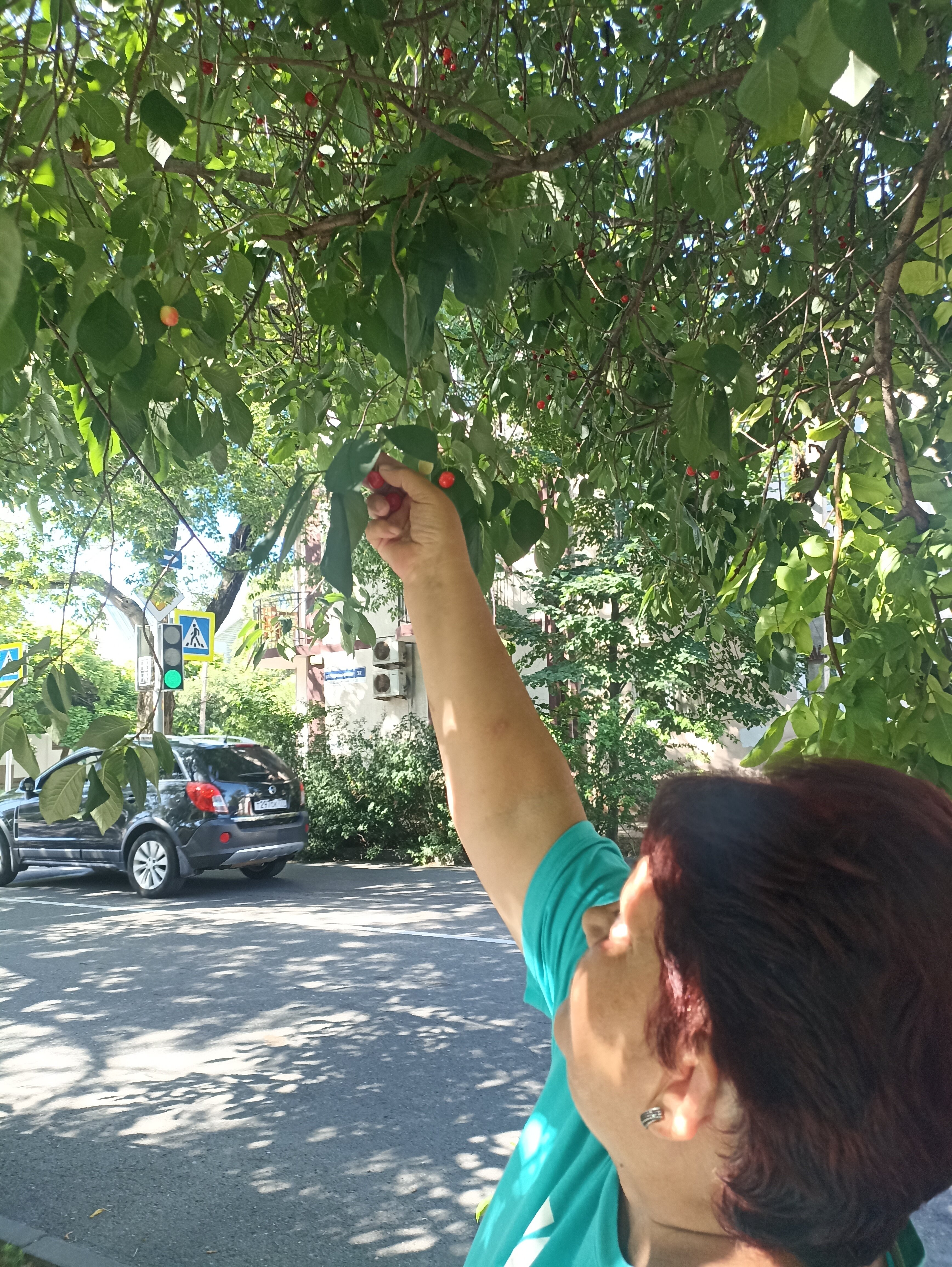 Фото Розовая Пантера