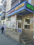Elegiya (Vostochnaya Street, 230) ، محل زهور