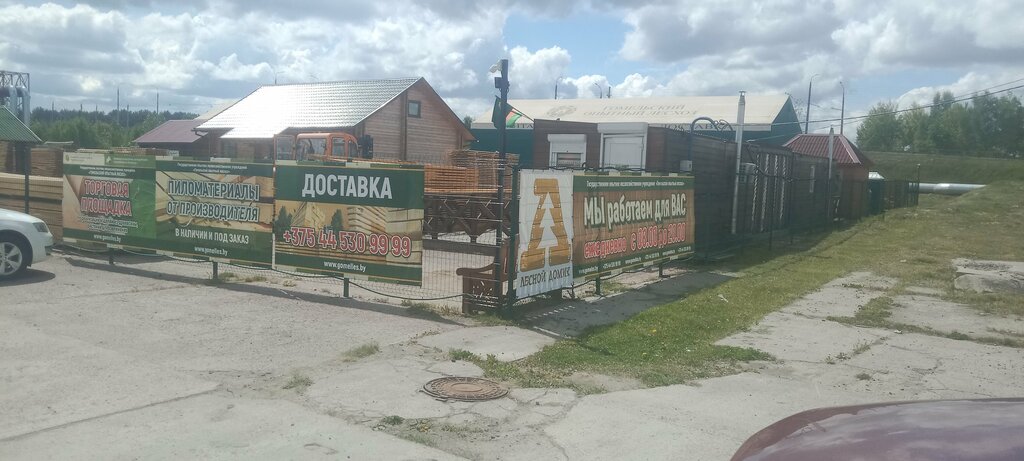 Logging, timber sales Гомельский опытный лесхоз, площадка Лесной домик, Gomel, photo