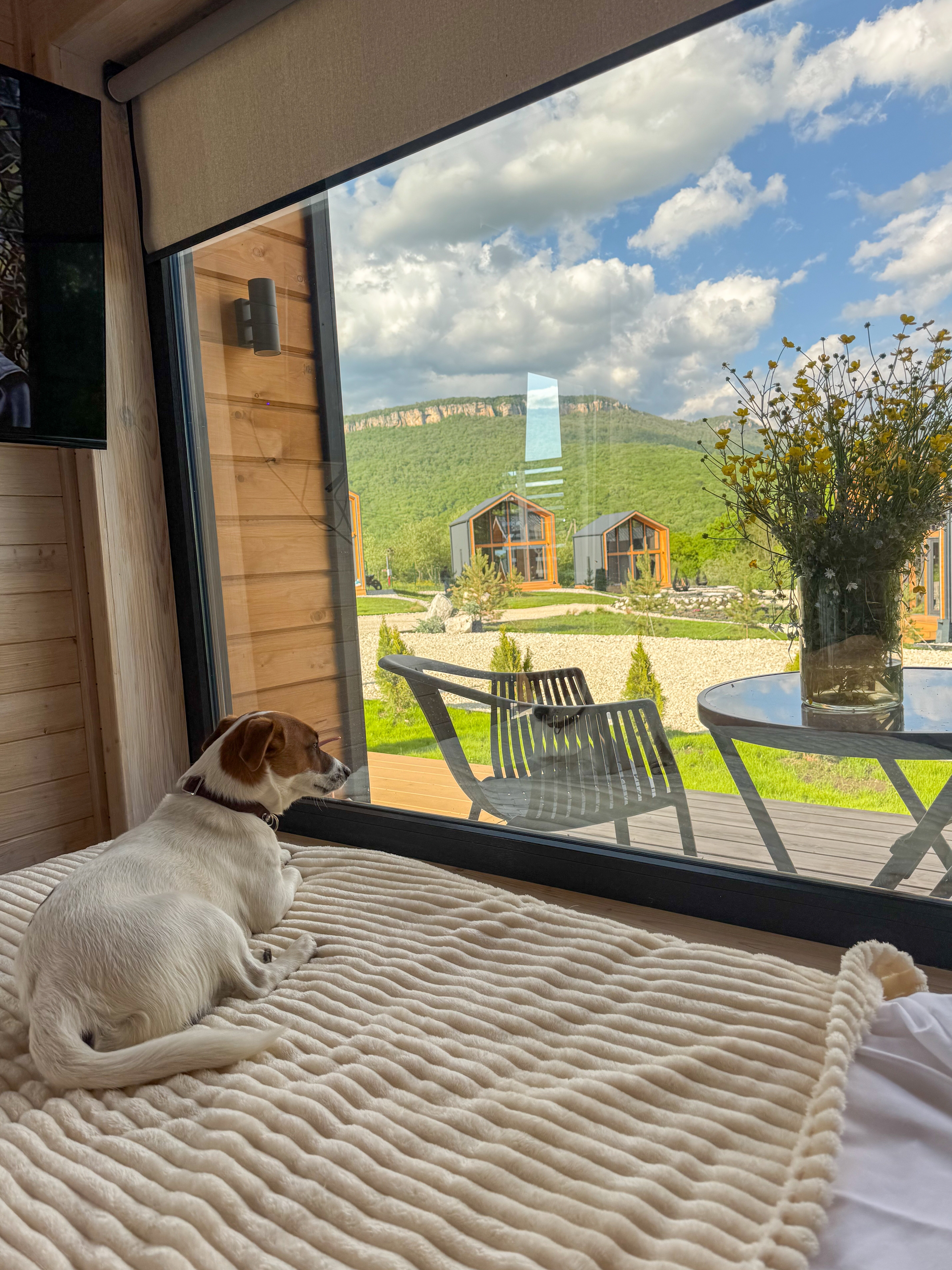 Фото Lago Village