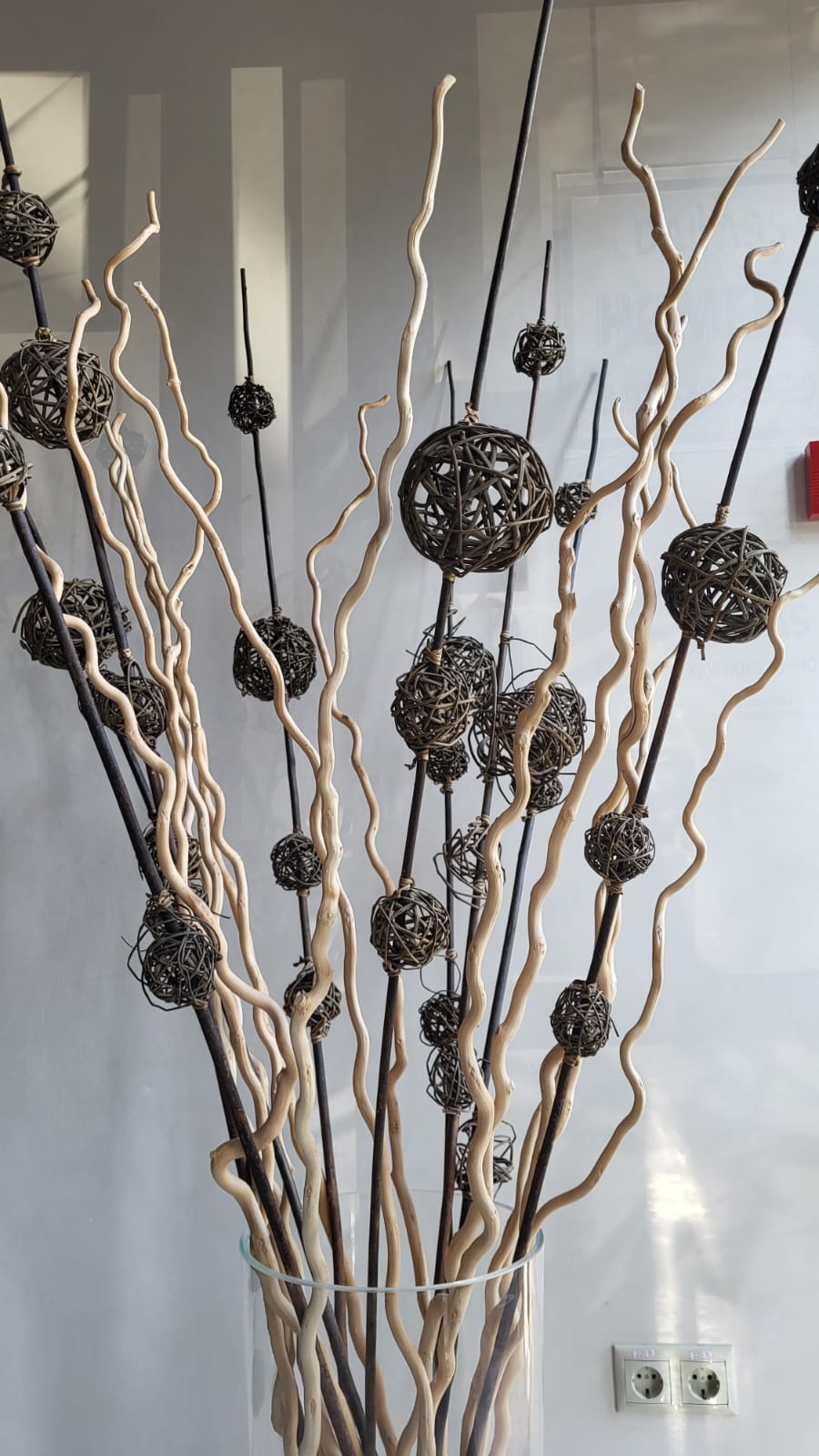 Фото Даллас