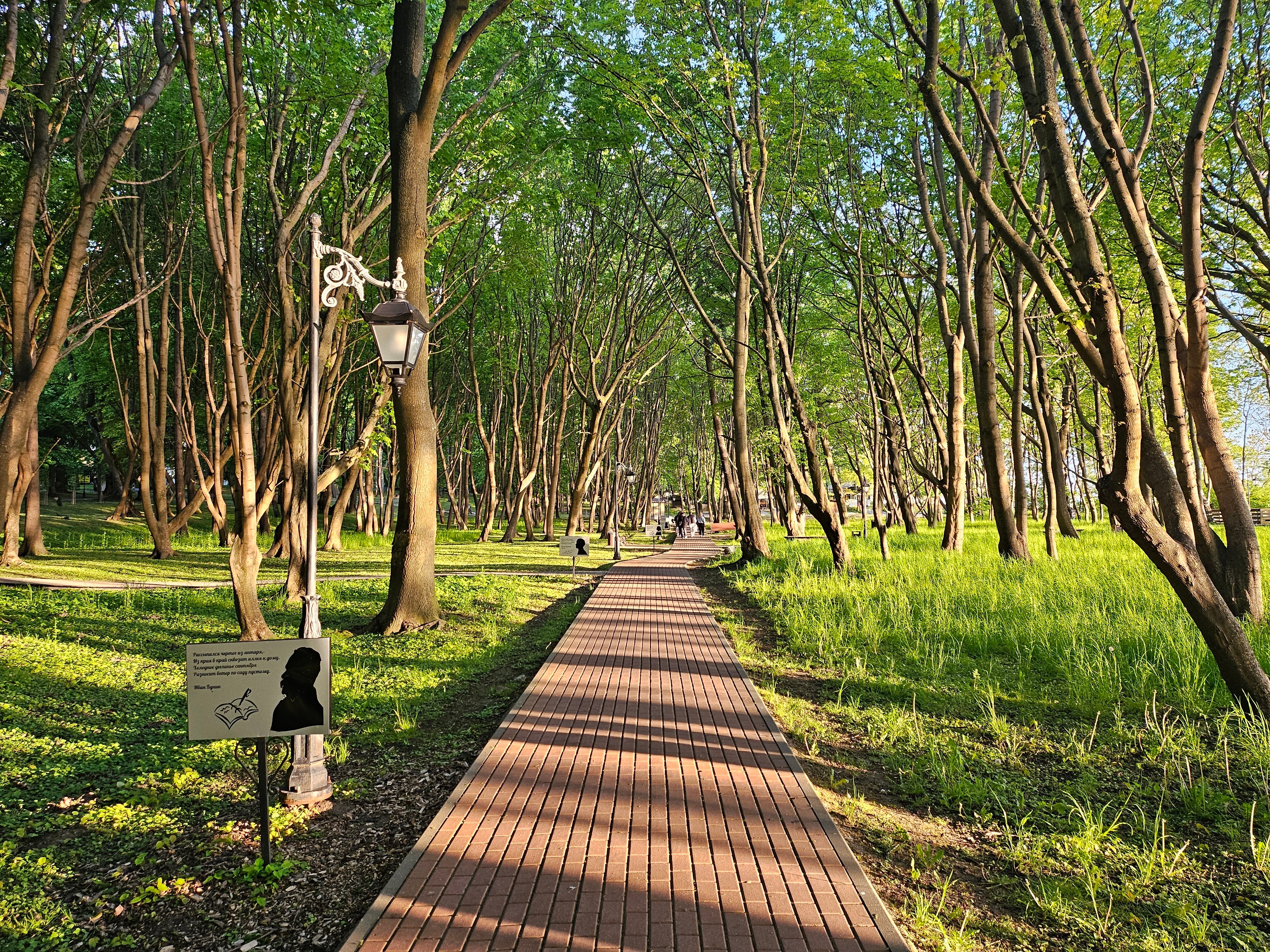 Фото Беккер