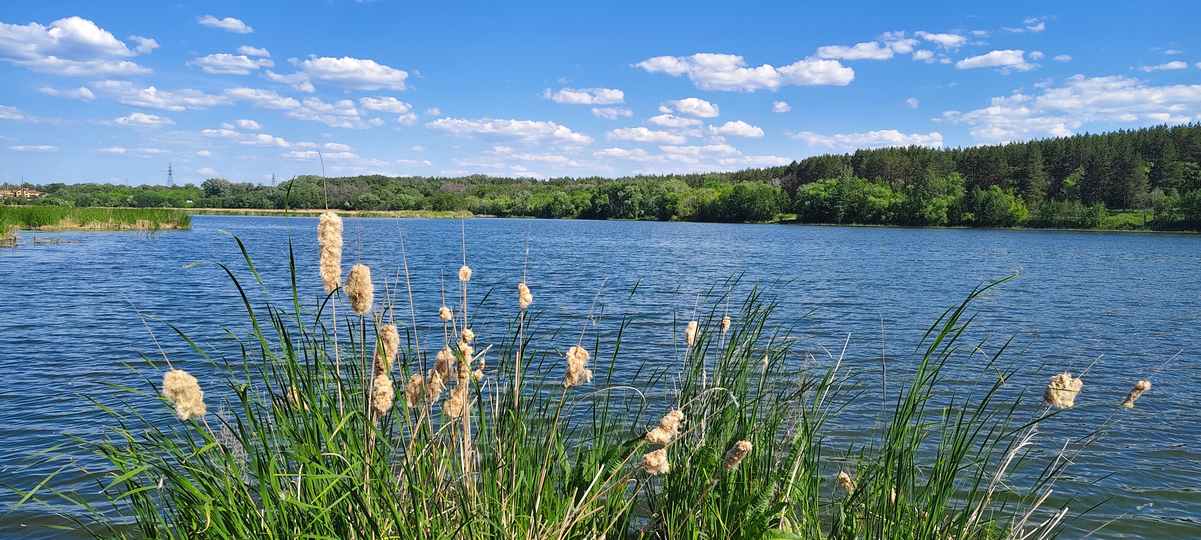 Фото Сосенки Lounge