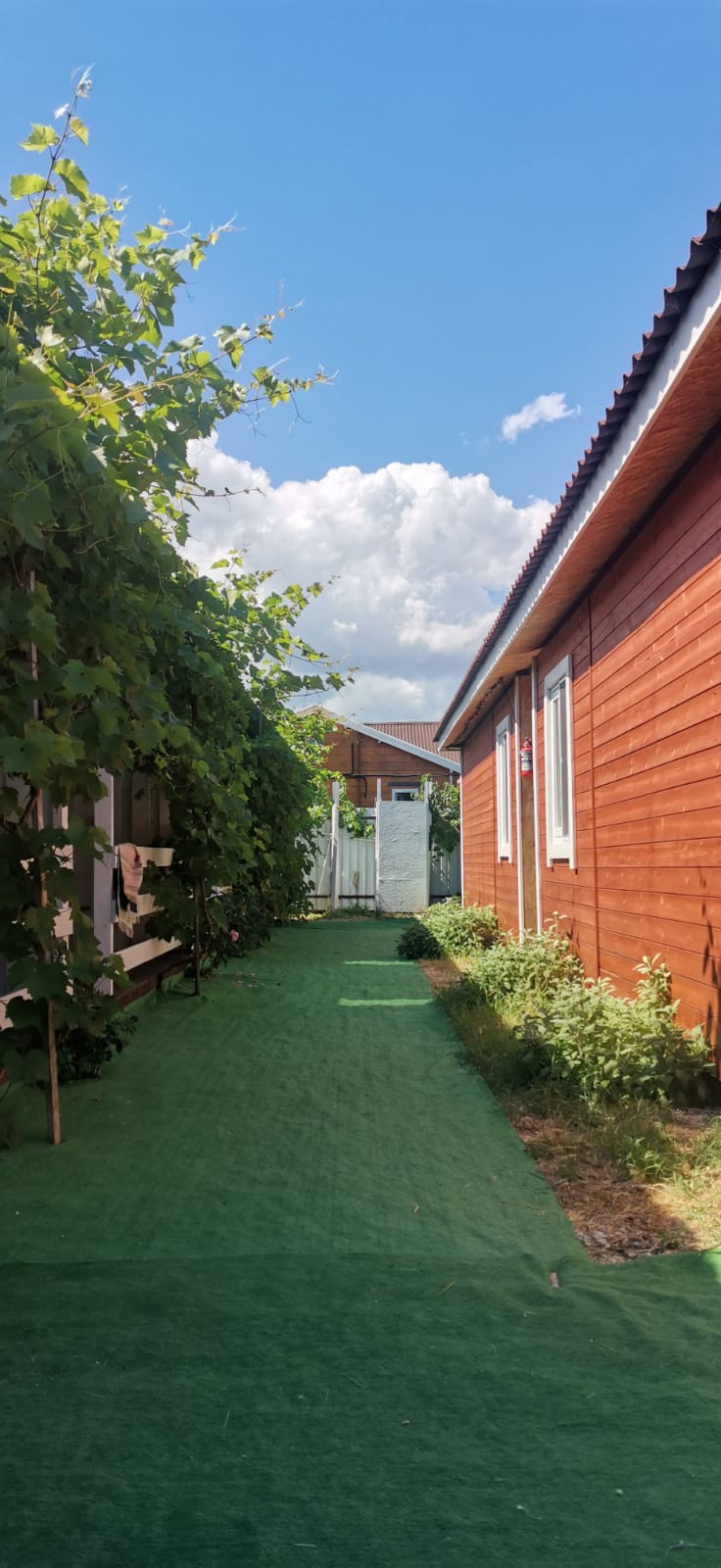 Фото Радхарани