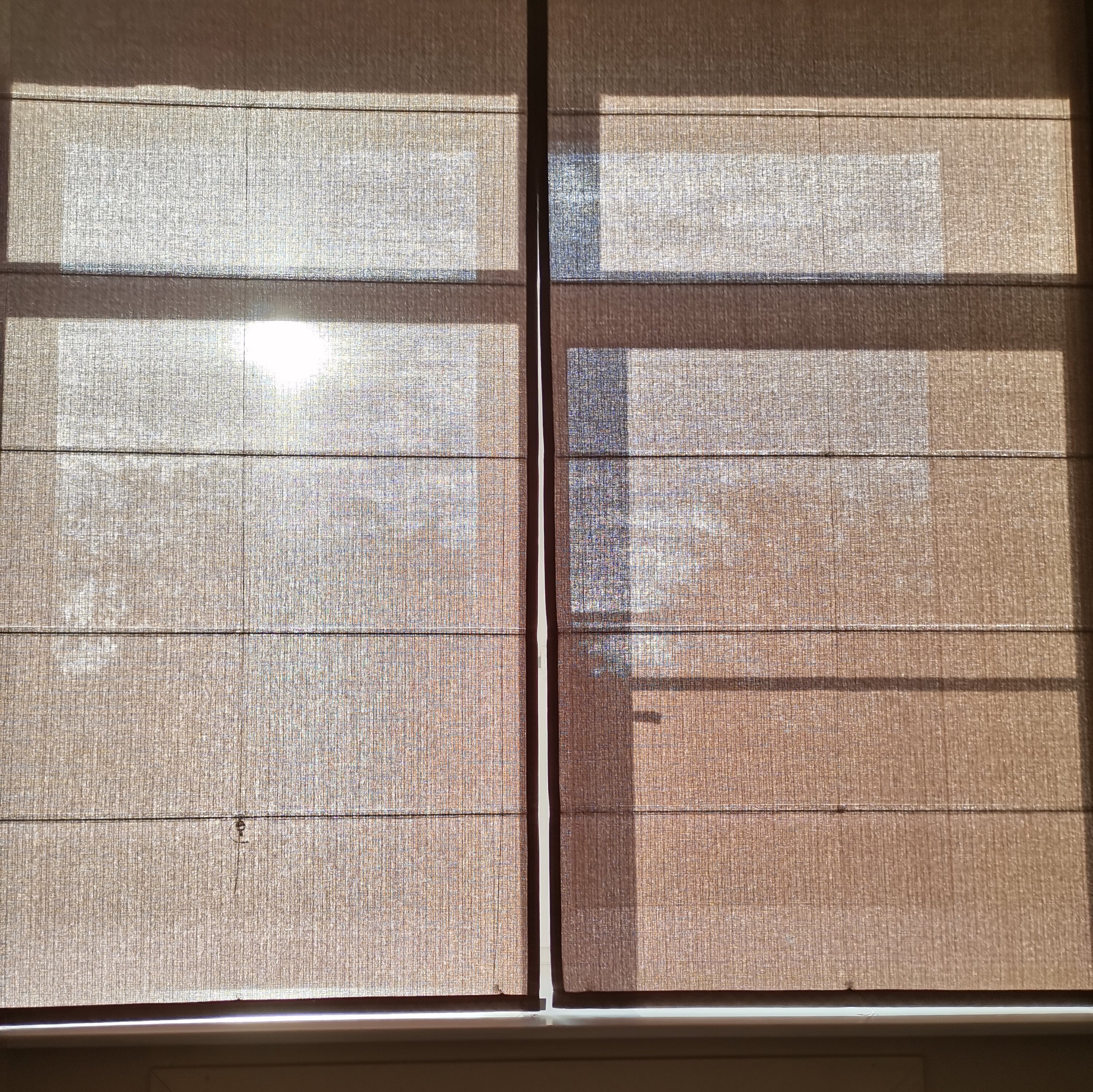 Фото Неревский