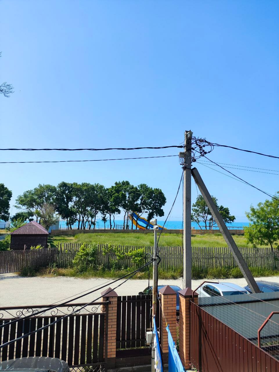 Фото Светлана