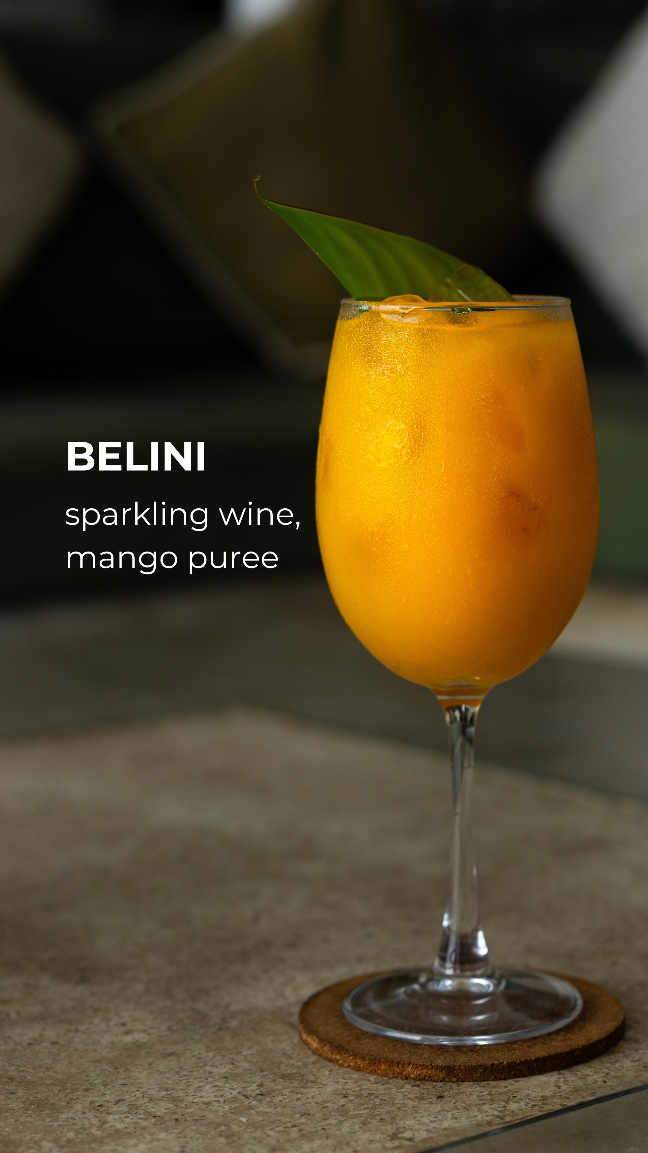 Фото We Are Surfers