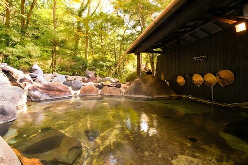 Гостиница Yufuin Ryoan Wazanhou