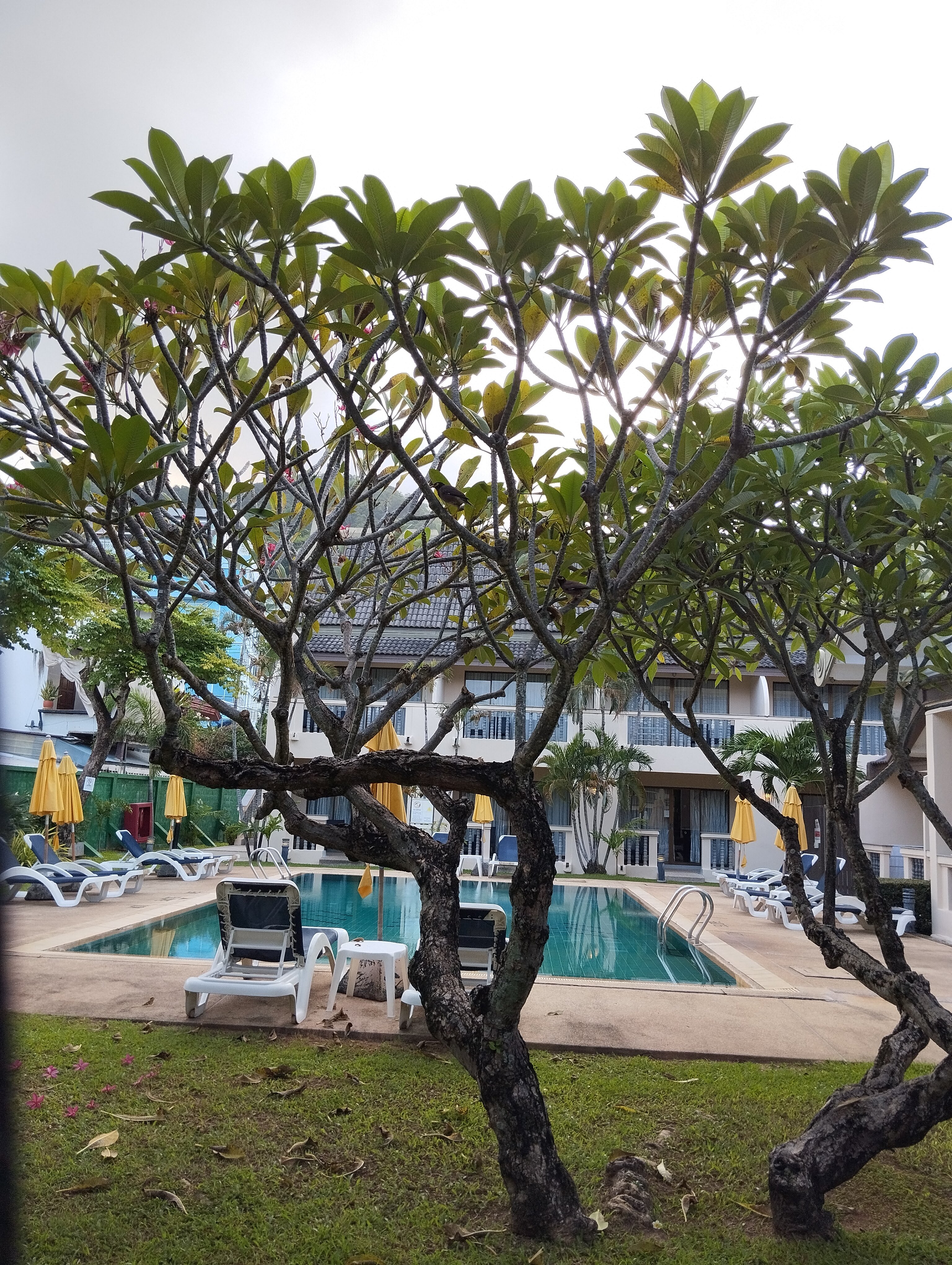 Фото Centara Kata Resort Phuket