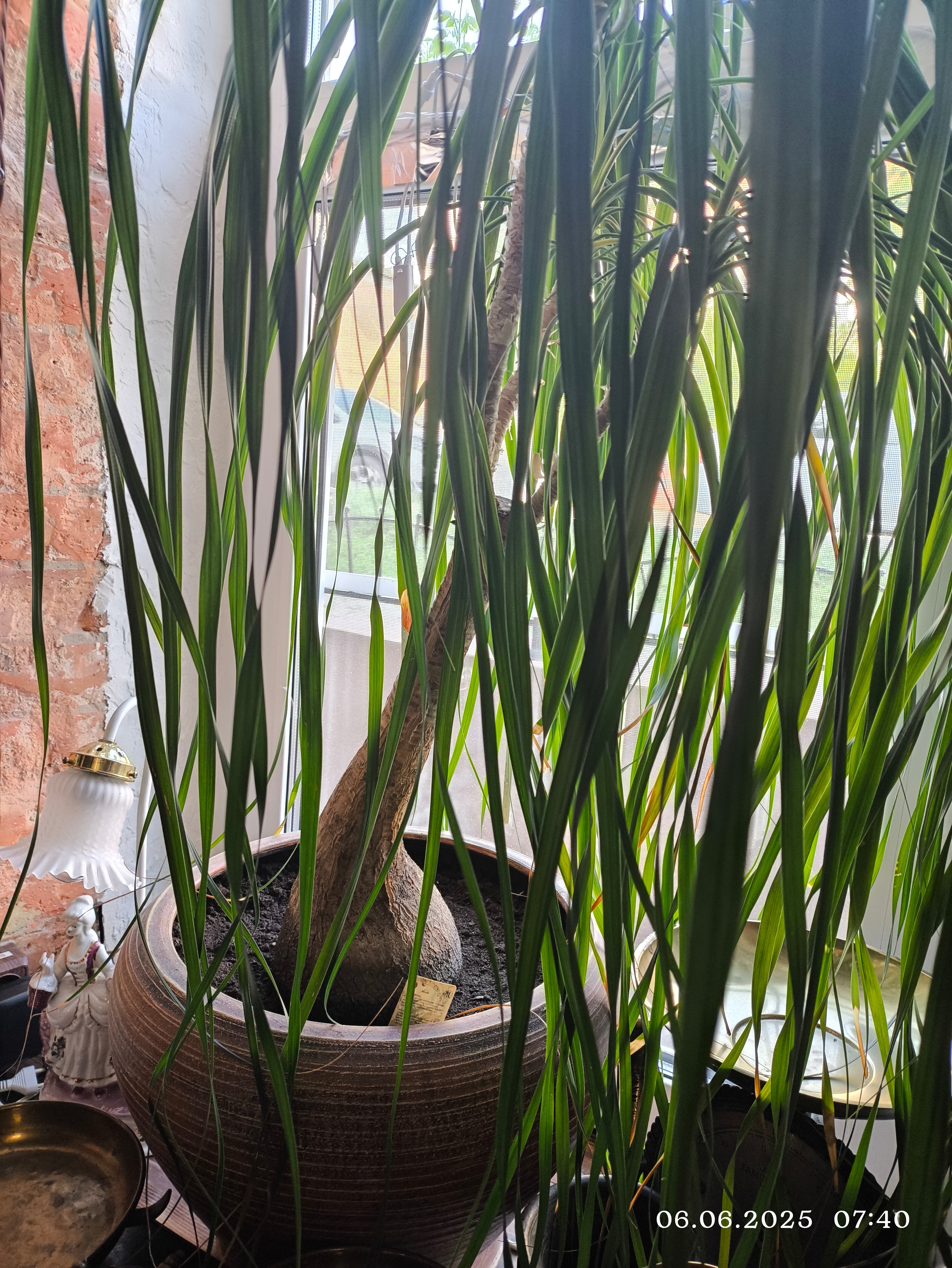 Фото Галерея