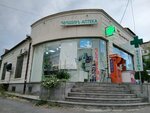 Farmira (Fuchik Street, 21/23), pharmacy