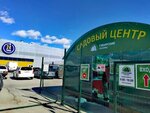 Sibirskie gazony (bulvar imeni Akademika Leonida Semyonovicha Barbarasha, 3Б), garden center