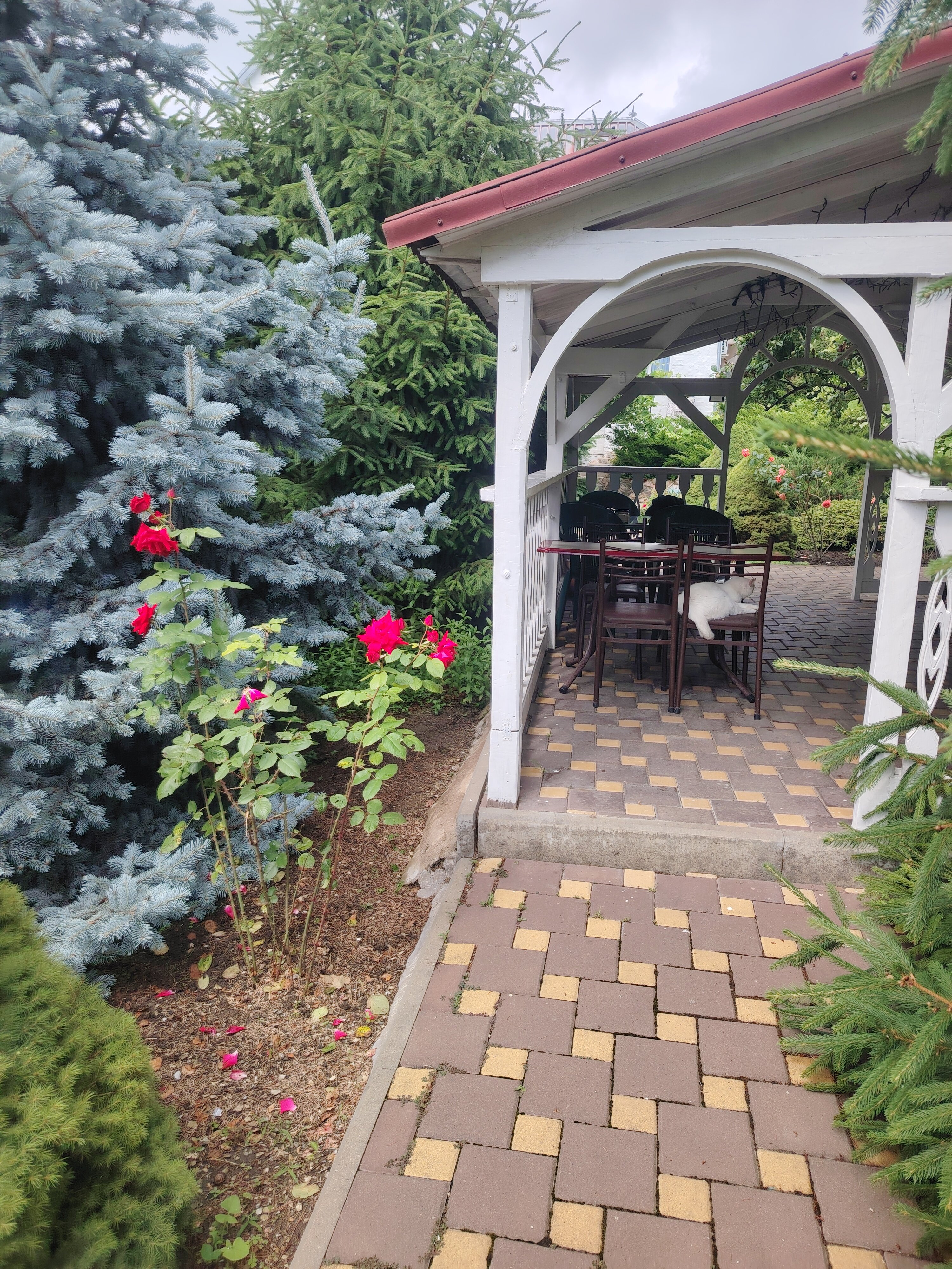 Фото Акварель