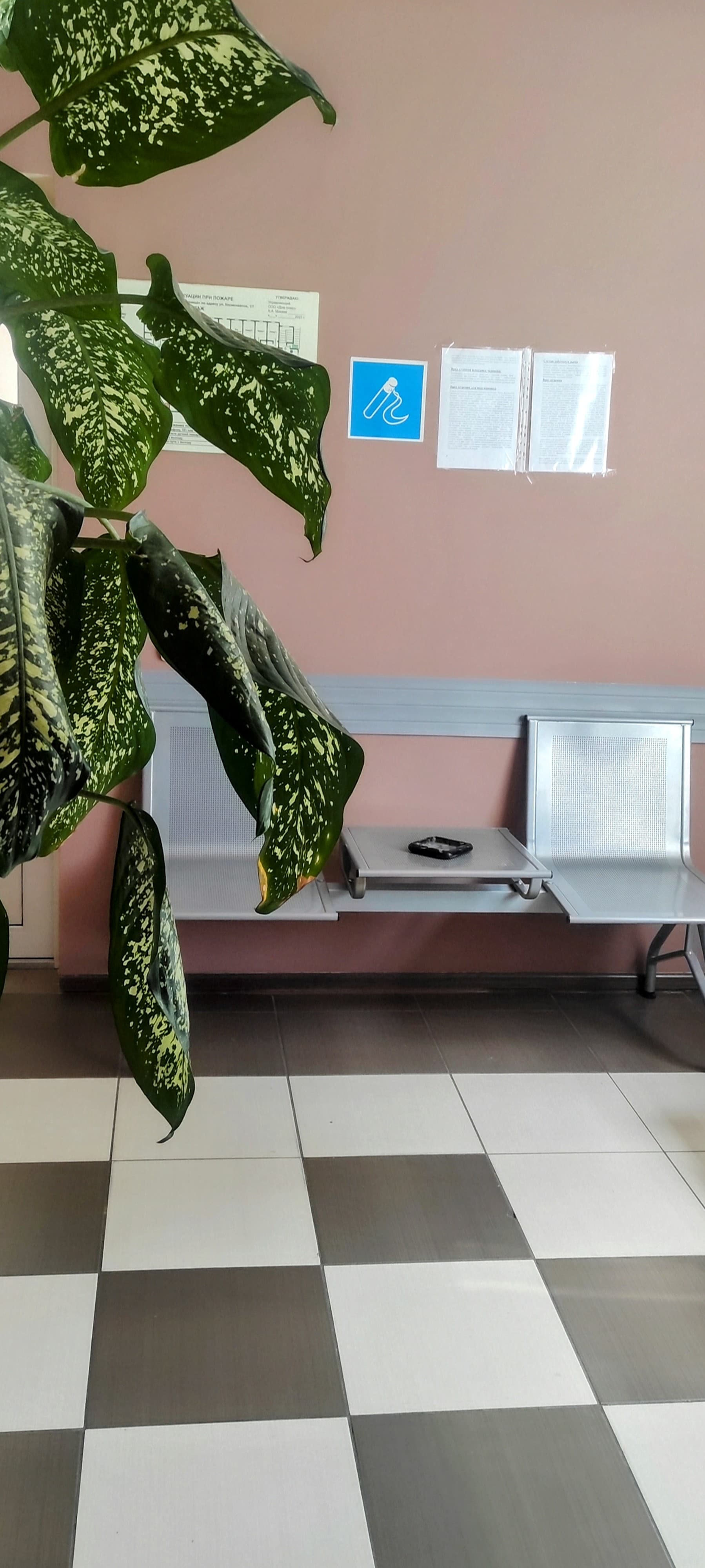 Фото Званица