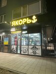 Якорь (Aleksandra Nevskogo Street, 4Б) ، متجر بيع البيرة