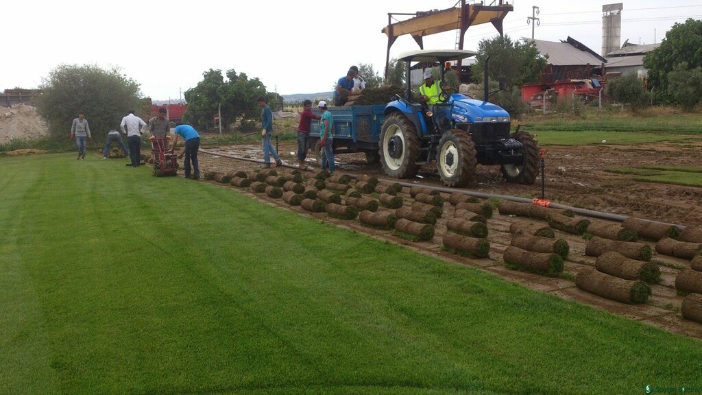 Aggregates Grass Here, Torbali, photo