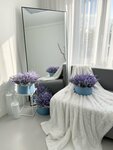 Art space (Shosseynaya Street, 1к1), photo studio