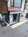 Sam Petshop (Istanbul, Sisli, Martyr Ertugrul Kabatas Avenue, 17A), pet shop