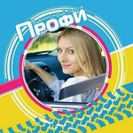 Профи (29-y mikrorayon, 10), driving school